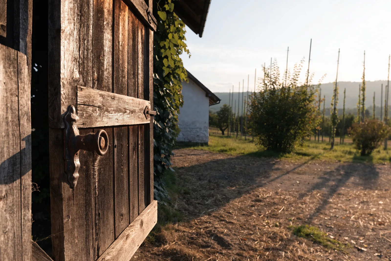 Symbolbild: Hoftür eines landwirtschaftlichen Anwesens – Einsatzgebiet Schlüsseldienst Tettnang